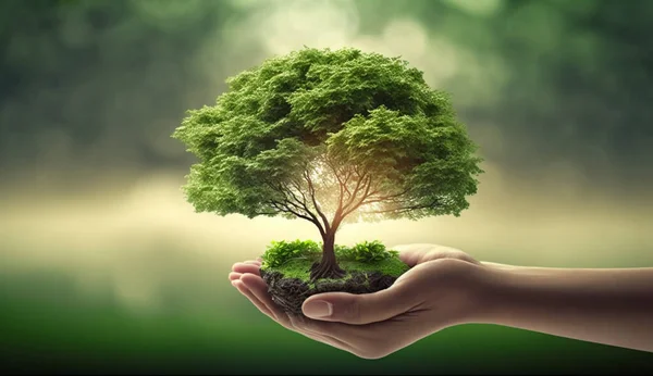 Hand holding tree, world earth day.