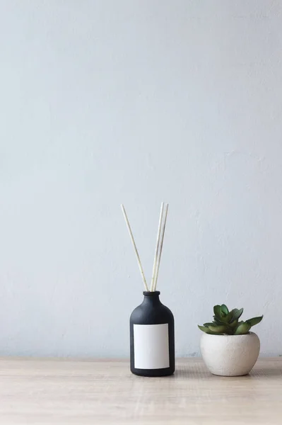 stock image Minimalist room, potted plant, succulent, vase flower on empty wall background