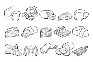 Çeşitli peynir element vektörü elle çizilmiş taslak çizim çizim çizimi seti