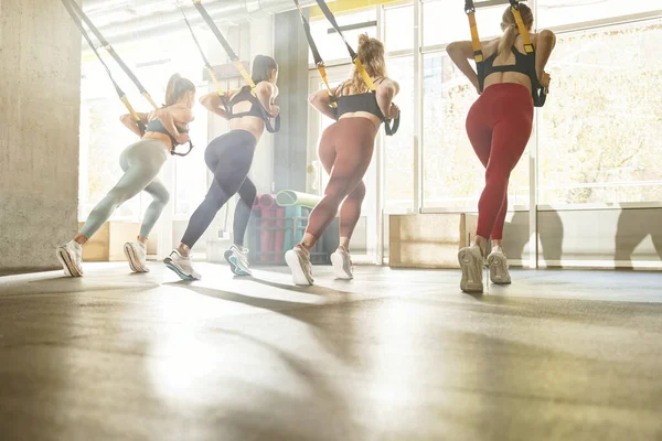 Mulheres Aptas Fazer Exercícios Treinamento Push Ups Com Tiras Suspensão — Fotografia de Stock
