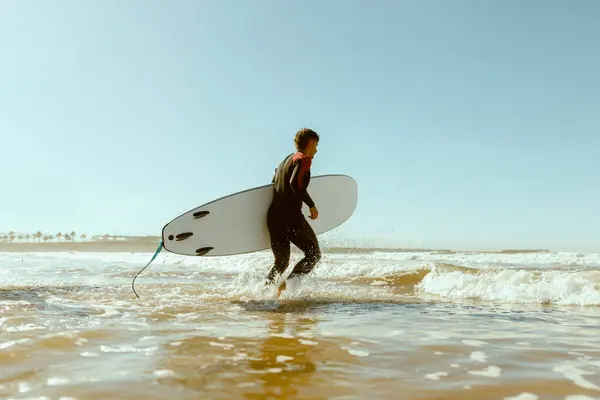 Male surfer in wetsuit with his surfboard entering the sea. Surfing on ocean. High quality photo