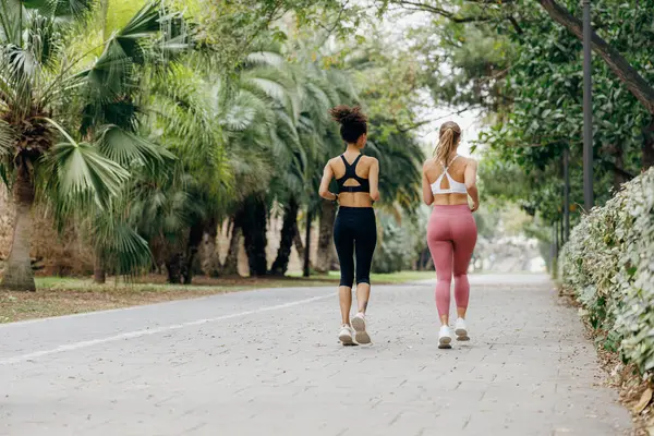 Actieve Vrouwen Atleet Zijn Joggen Ochtend Natuurlijke Parkland Achtergrond Gezond — Stockfoto