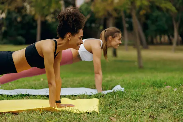 两名女性朋友站在木板上一起训练 在自然公园的健身垫上摆姿势 — 图库照片
