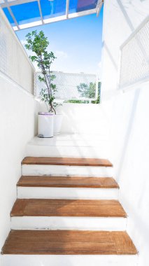 Kafenin içindeki modern doğal dişbudak ağacı ahşap merdivenler.