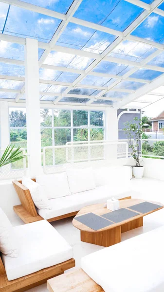 Modern White Living Room Interior Sofa Coffee Table Plants — Stock Photo, Image
