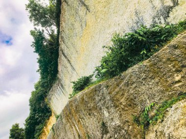 Yeşil bitkilerle ve mavi bulutlu gökyüzüyle Rocky Cliff. Güzel doğa arkaplanı