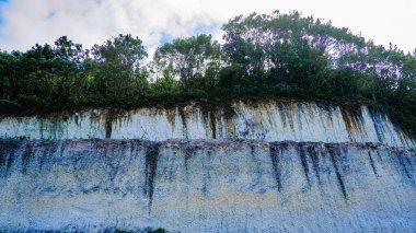 Yeşil bitkilerle ve mavi bulutlu gökyüzüyle Rocky Cliff. Güzel doğa arkaplanı