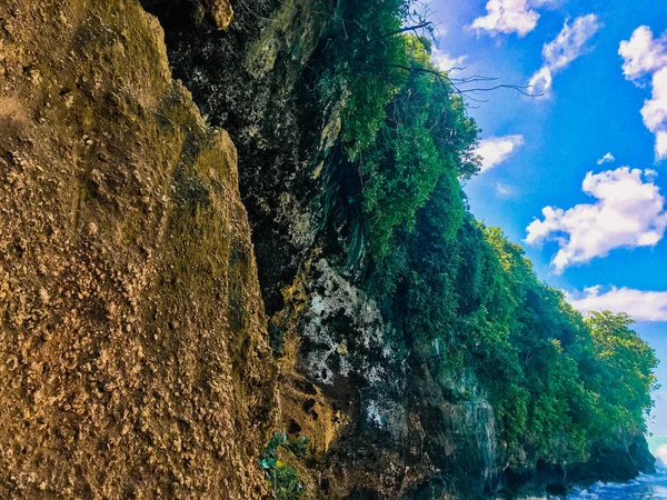 緑の植物と青い曇りの空と岩の崖 美しい自然背景 — ストック写真