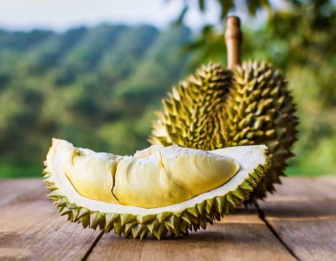 Durian meyvesi ahşap masada bulanık durian tarlası arka planında..