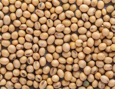 Reklamınız için soya fasulyesi arkaplan görünümünü kapatın