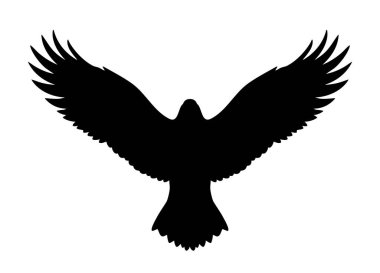 Yükselen bir kartalın siyah silueti. Geniş açık kanatları var. Önden görülüyor. Keskin tüy hatlarıyla detaylı vektör çizimleri, gücü, özgürlüğü ve gücü sembolize ediyor. Vahşi yaşam temalı tasarımlar, logolar, baskılar, şablonlar ve