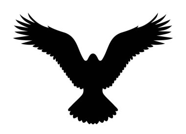 Uçan bir kuşun siyah silueti. Önden geniş açık kanatları var. Beyaz zemin üzerinde keskin tüy ana hatlarına sahip ayrıntılı vektör tasarımı, vahşi yaşam temalı grafikler, logolar, baskılar, şablonlar ve dekoratif projeler için mükemmel.