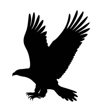 Uçan güçlü bir kartalın siyah silueti. Kanatları tamamen açık ve pençeleri uzanmış. İnmeye ya da avını yakalamaya hazır. Beyaz arka planda minimalist vektör tasarımı, gücü, özgürlüğü ve hassasiyeti simgeliyor. Vahşi yaşam temalı için mükemmel.