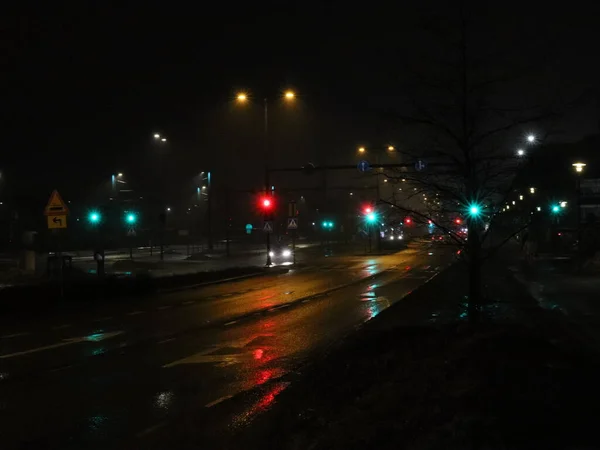 芬兰埃斯波 2023年3月22日 夜景街景 绿色和红色的红绿灯 街上有雾 街上的一些交通标志 街上有几辆车道路上的反思 — 图库照片