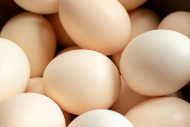 Bazı düzenlemelerden sonra, mutfaktaki yumurtaların fotoğrafını kapat..