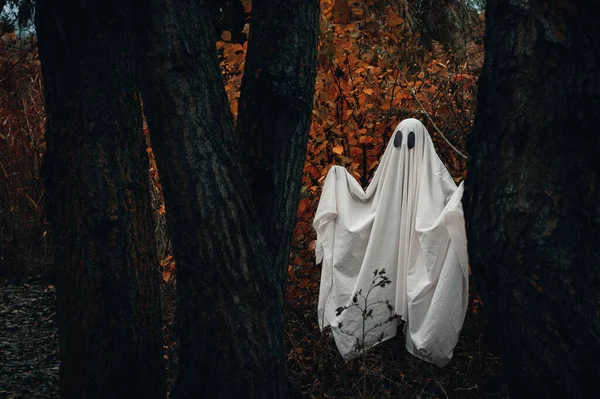 Ghost Covered White Ghostly Sheet Autumn Gloomy Forest Spooky White — Stock Photo, Image