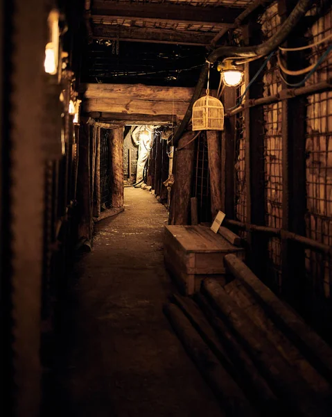 stock image Old and creepy mineshaft hallway with dim light