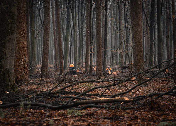 Forêt Sombre Lunatique Avec Des Travailleurs Bois Assis Loin — Photo