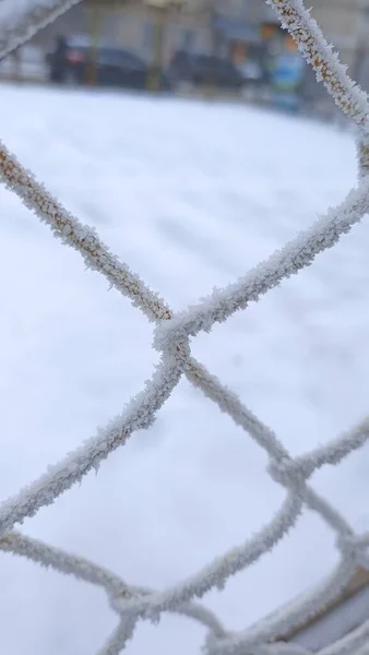 close up of a white snow-covered fence with a metal mesh
