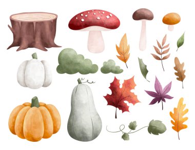 suluboya sonbahar balkabağı seti, meşe palamudu, meşe palamudu, kestane, balkabağı, çam ağacı, meşe ağacı, rovan,