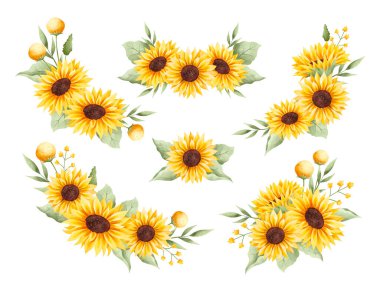 Güzel ayçiçeği çelenklerinin suluboya çizimi