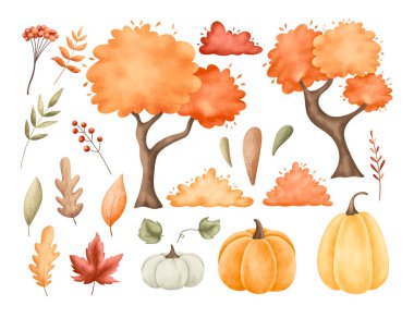 Sonbahar Ağacı ve Bitkileri Seti