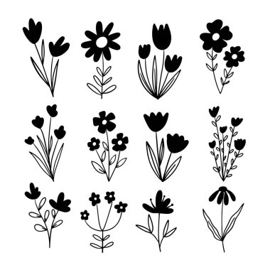 Vahşi Çiçeklerin Vektör Doodle Kümesi