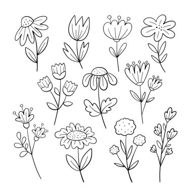 Çiçek seti. vektör illüstrasyonu