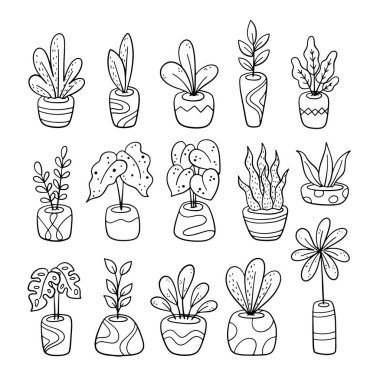 siyah ve beyaz bitki ve çömlek vektör kümesi