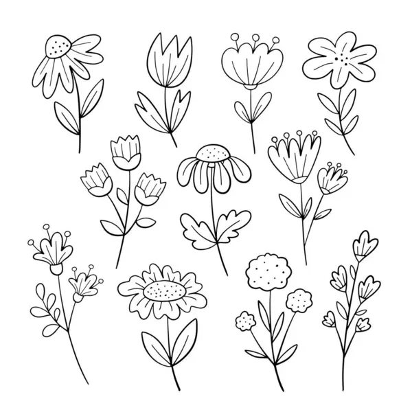 Çiçek seti. vektör illüstrasyonu