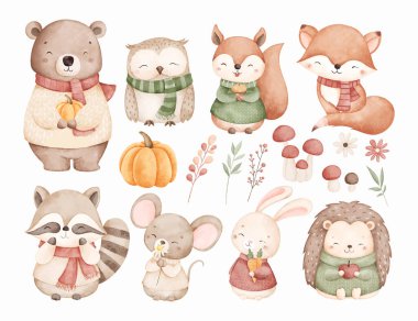 Sonbahar sezonunda Woodland Hayvanlarının Suluboya Çizimleri