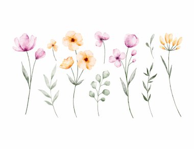  Çiçek ve Yapraklar Suluboya Çizimi Beyaz Arkaplanda İzole Edildi