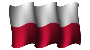 Poland dalgalı bayrak tasarım vektör çizimi poster tasarımı, şablon ve sosyal medya post tasarımı için uygun