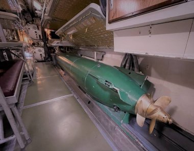 Ton balığı torpidosu. 