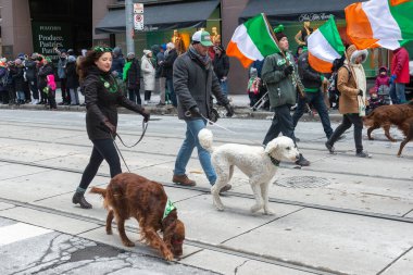Toronto, ON, Kanada - 19 Mart 2023: Toronto şehir merkezindeki Aziz Patrick Günü Geçit Töreni 17 Mart 'ta Uluslararası Kutlama Günü' nde