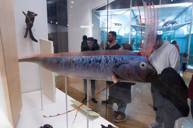 Toronto, ON, Kanada - 20 Kasım 2022: Royal Ontario Müzesi ziyaretçileri