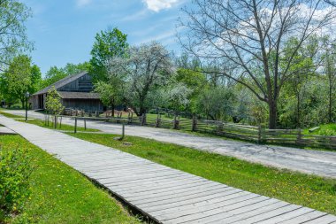 Toronto, ON, Kanada 15 Mayıs 2022: Toronto, Ontario, Kanada 'daki Black Creek Pioneer Village açık-miras müzesindeki 40' ın üzerindeki 19. yüzyıl binalarına bakın. Köy, 19. yüzyıl Ontario 'sunda hayatın yeniden canlandırılmasıdır.
