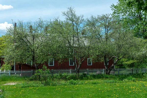 stock image Toronto, ON, Canada  May 15, 2022: View at the Poblins Mill building in the open-air heritage museum Black Creek Pioneer Village in Toronto, Ontario, Canada. The village is a recreation of life in 19th-century Ontario