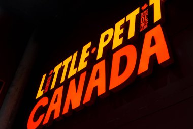 Toronto, ON, Kanada - 4 Haziran 2023: Kanada 'nın Little Petite Canada' daki ünlü yerlerinin minyatür bir simgesi üzerine küçük bir serginin görüntüsü