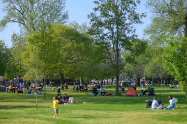 Toronto, ON, Kanada - 4 Haziran 2024: Toronto Adaları 'nda piknik yapan insanlar