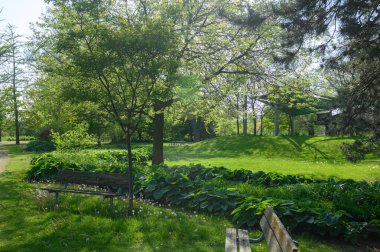Toronto, ON, Kanada - 4 Haziran 2024 Toronto Adaları Park Manzarası