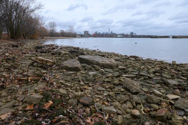 Toronto, ON, Kanada - 1 Ocak 2025: Ontario Gölü 'ndeki su seviyelerindeki düşüş, kışın kaya kaplı sahil tabanlarını ortaya çıkardı.