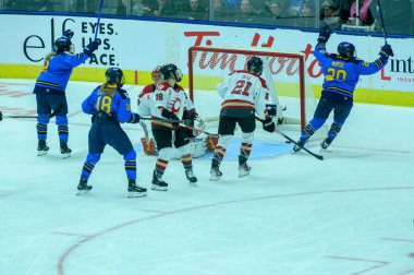 Toronto, ON, Kanada 1 Şubat 2025: # 20 Toronto Asa forveti, Coca-Cola Coliseum 'da oynanan Toronto Asa - Ottawa Hücum maçında gol attı (Skor 4-2 Toronto Asası)) 