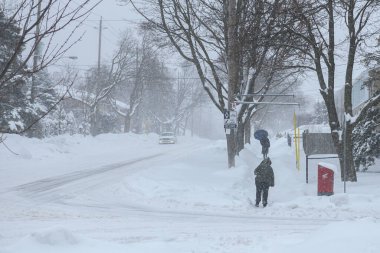 Toronto, ON, Kanada - 27 Şubat 2025: Karlı bir cadde tuğla binalar ve çıplak ağaçlarla dolu bir yerleşim alanından geçiyor.