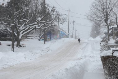 Toronto, ON, Kanada - 27 Şubat 2025: Karlı bir cadde tuğla binalar ve çıplak ağaçlarla dolu bir yerleşim alanından geçiyor.
