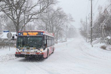 Toronto, ON, Kanada - 27 Şubat 2025: Toronto Ulaşım Komisyonu (TTC) otobüsü karlı bir sokakta evler ve yaya levhalarıyla ilerliyor.