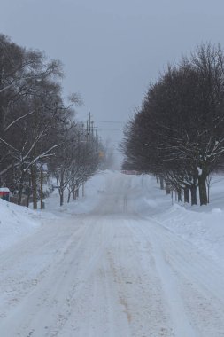 Toronto, ON, Kanada - 27 Şubat 2025: Karlı bir cadde tuğla binalar ve çıplak ağaçlarla dolu bir yerleşim alanından geçiyor.