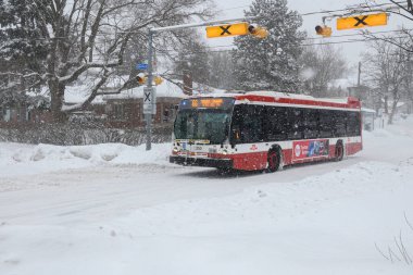 Toronto, ON, Kanada - 27 Şubat 2025: Toronto Ulaşım Komisyonu (TTC) otobüsü karlı bir sokakta evler ve yaya levhalarıyla ilerliyor.