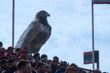 Toronto, ON, Kanada - 15 Mart 2025: Toronto FC kulüp maskotu Hawk 'ın dev bir metal heykeli, BMO Field' a yöneldi.