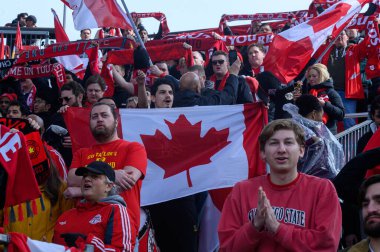 Toronto, ON, Kanada - 15 Mart 2025: Toronto FC taraftarları BMO Field 'da Chicago Fire FC' ye karşı oynanan maçta takımlarını desteklerken Kanada bayraklarını sallıyor ve eşarplarını tutuyorlar. Sayı 1: 2, Chicago İtfaiyesi kazandı.)